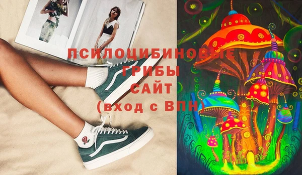 крисы Алагир