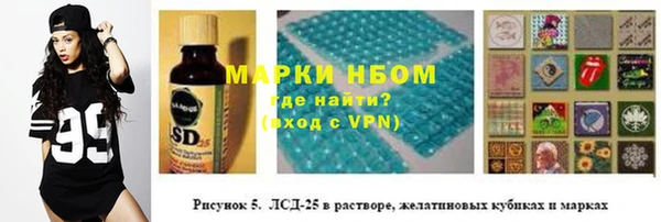 гашик Надым
