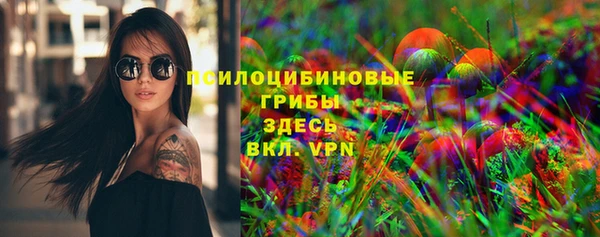 молекула духа Михайлов