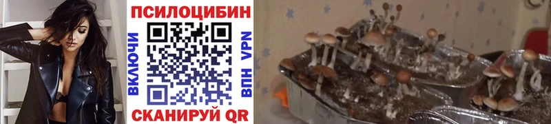 Псилоцибиновые грибы мицелий  МЕГА ссылки  Новоульяновск 